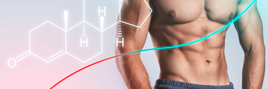 Beneficios y propiedades Testolan