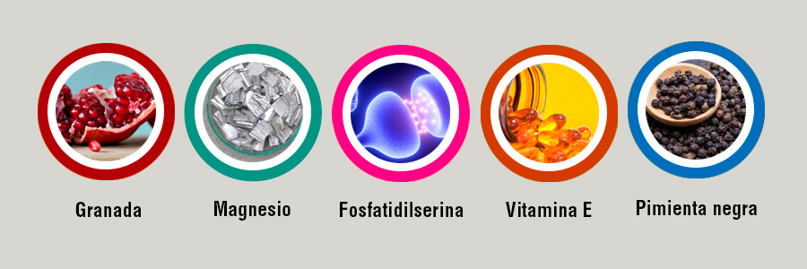 Fórmula, Ingredientes de Testolan y composición