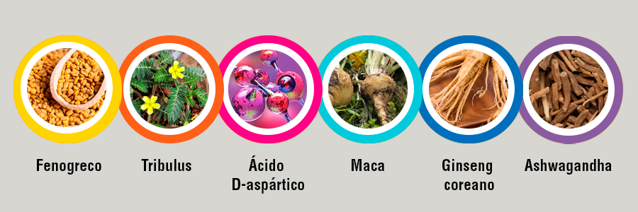 Ingredientes de Testolan y composición