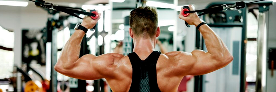 Testolan Aumenta la energía y la resistencia física