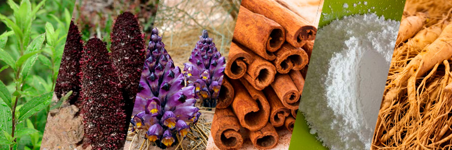 Composición e ingredientes de Libido Forte