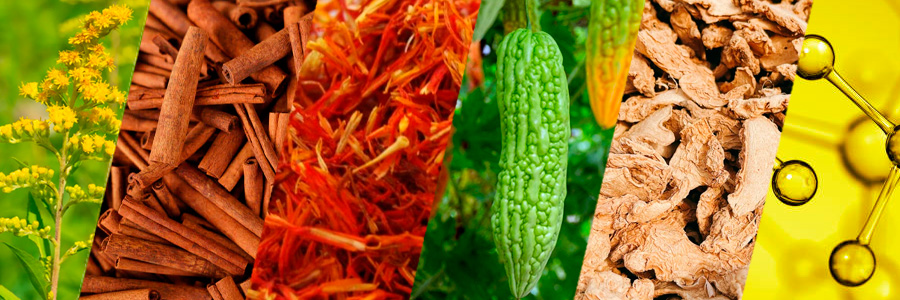 Composición e ingredientes de Volume Pills