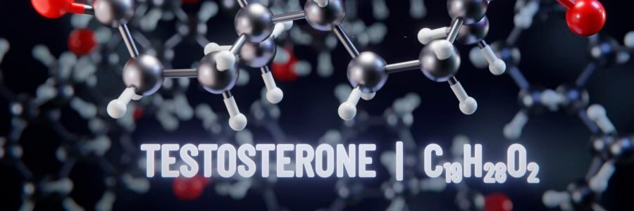 Propiedades y beneficios de Vigrax