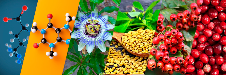 ingredientes de Semenax